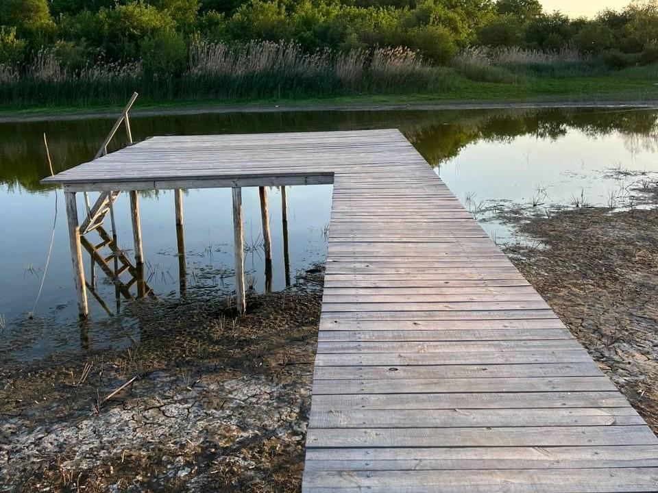 «Всё подохло»: дончане бьют тревогу из-за обмелевшей реки — там массово гибнет рыба, а животные застревают в иле