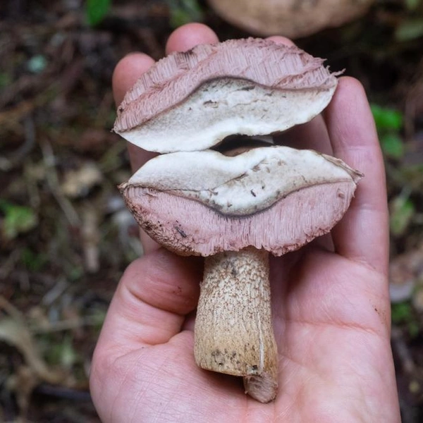 Источник: RealPeopleStudio/Shutterstock/Fotodom.ru