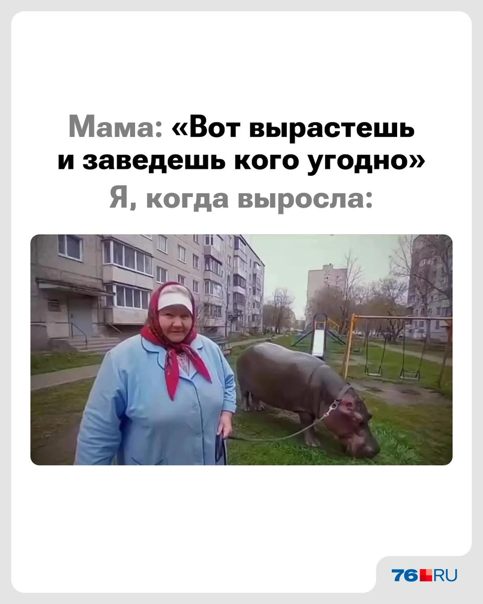 Мечта исполнена | Источник: Городские медиа