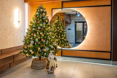 Конкурс новогодних фото в Чите: выиграйте призы