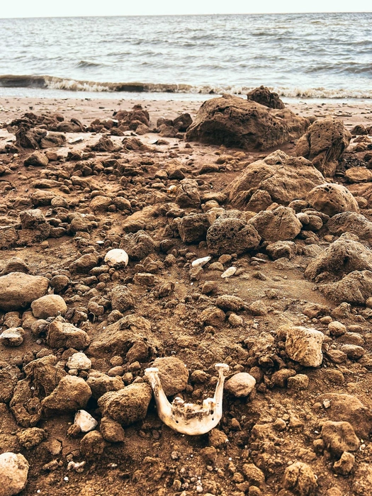 Интересно, будут ли власти перезахоранивать останки? | Источник: Красивые места России | Колоткин Игорь / Vk.com