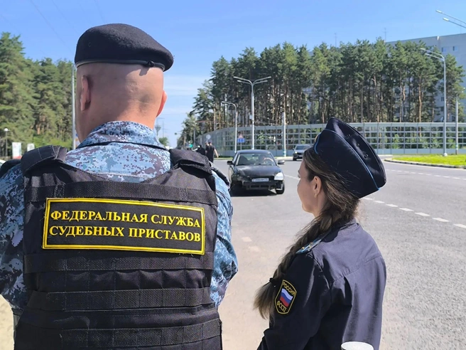 Проверьте долги перед поездкой за границу | Источник: r73.fssp.gov.ru