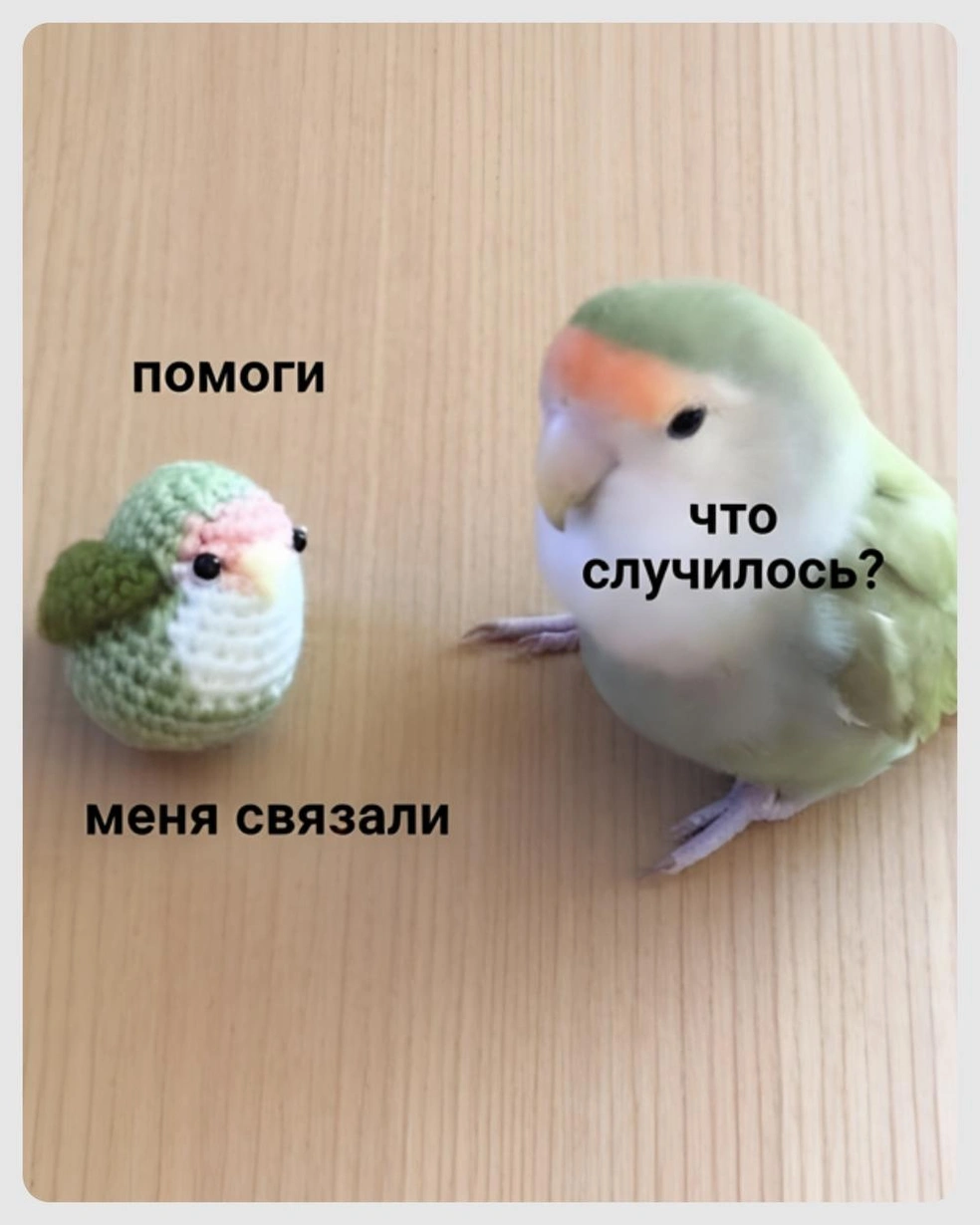 Нужно спасать | Источник: Городские медиа