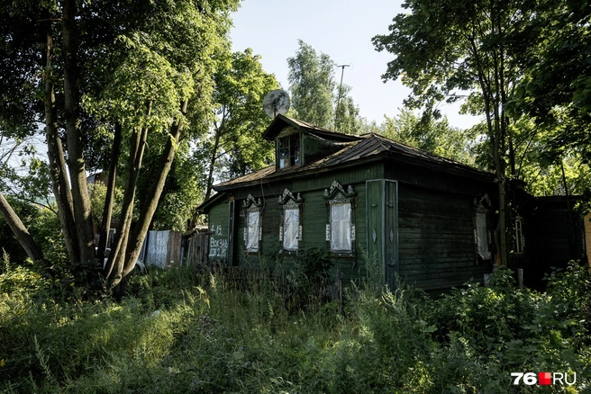 Старый дом под деревьями на краю улицы | Источник: Александр Куренной / 76.RU
