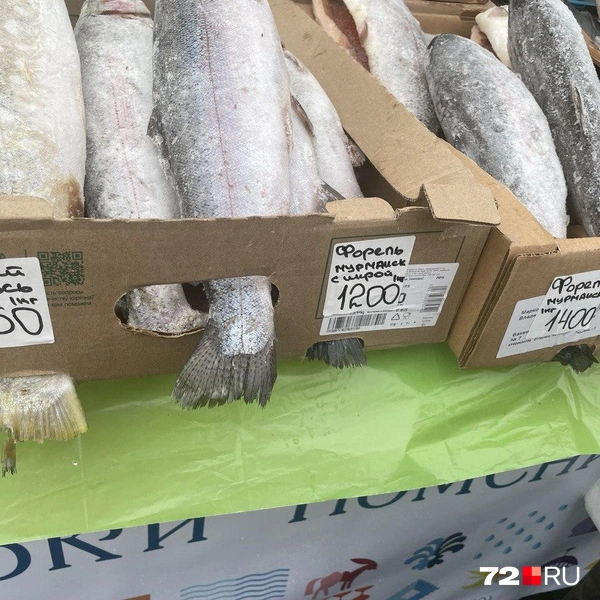 Источник: Радик Енчу / 72.RU