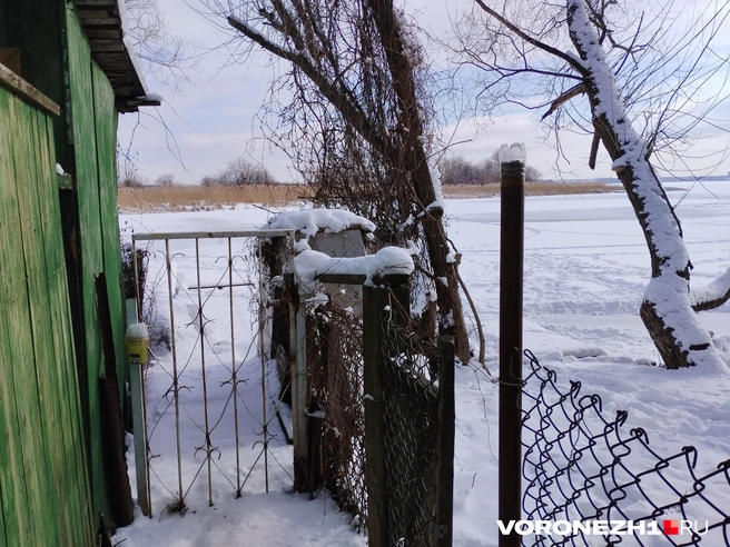 Одни туристы приезжают в поселок на машинах, а другие приплывают на лодках или сапах | Источник: Дмитрий Волгин / Voronezh1.ru