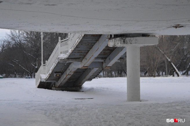 Источник: Анастасия Баринова / 56.RU