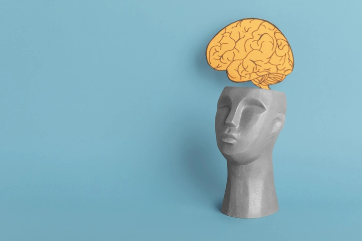 Тест: ответьте на 10 вопросов, а мы оценим уровень вашего левополушарного интеллекта | Источник: freepik