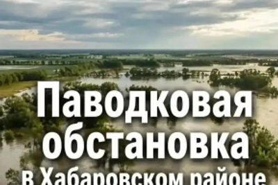 Амур у Хабаровска опустился до 394 сантиметров