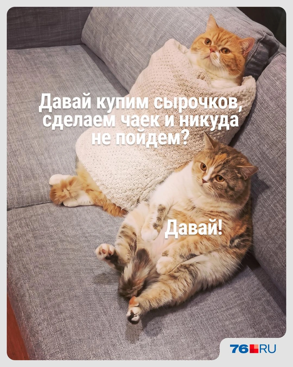 А вот это уже отличный вариант отдыха после работы | Источник: Городские медиа