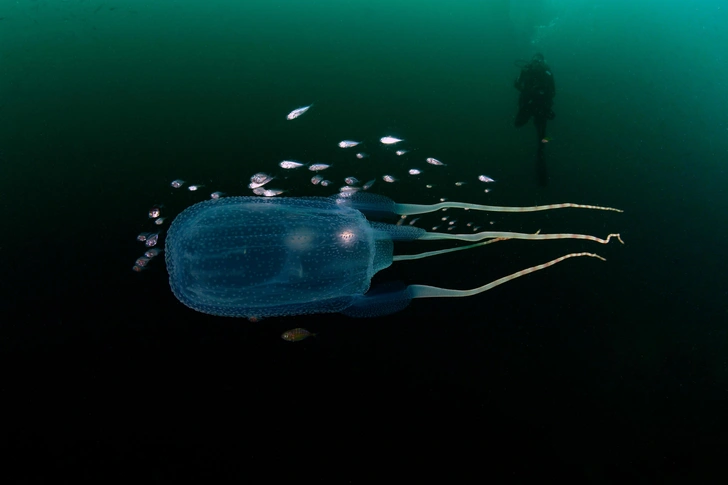 Источник: Shutterstock/Fotodom.ru