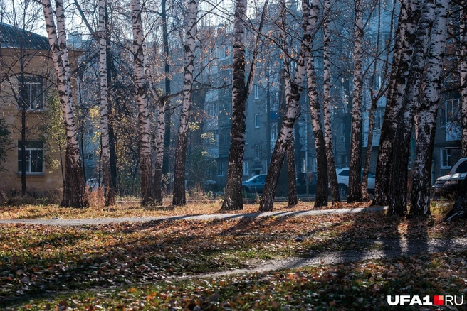 Ностальгический пейзаж | Источник: Булат Салихов / UFA1.RU