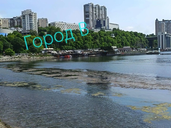 Источник: Telegram-канал «Город В»