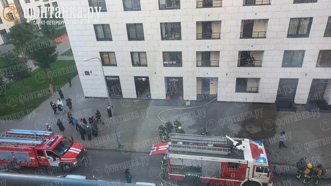 Обстановка на месте происшествия | Источник: читатель «Фонтанки»