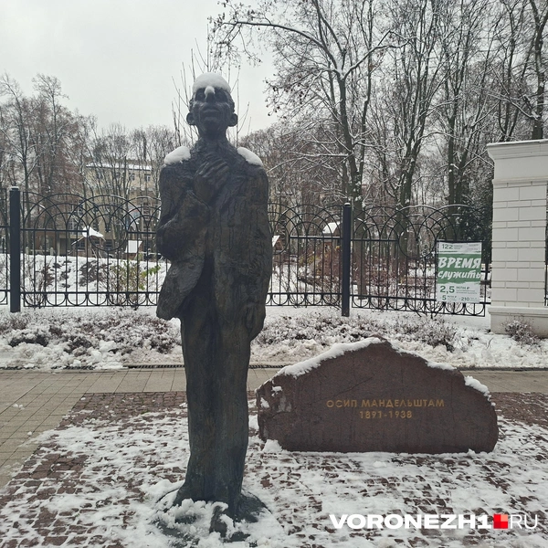 Источник: Алёна Воропаева / Voronezh1.ru