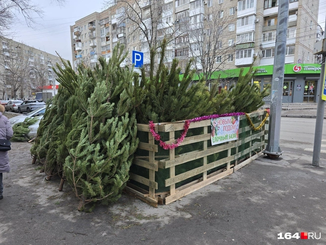 Торговля тут идет не очень бойко | Источник: Семен Коротов-Майбах / 164.RU