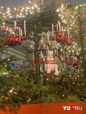 Источник: 72.RU