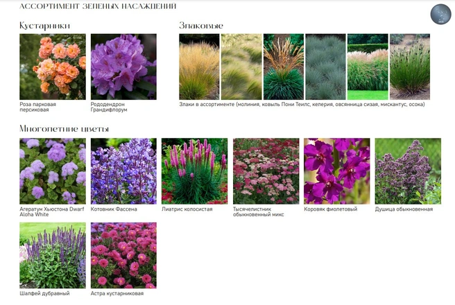 концепция сада-трансформера на Московской площади разработана ООО «Орион-проект СПб»