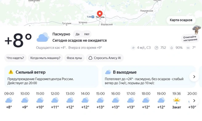 Дети с букетами, мамы волнуются: как в Тюмени проходит День знаний — онлайн-трансляция | Источник: Yandex.ru/pogoda