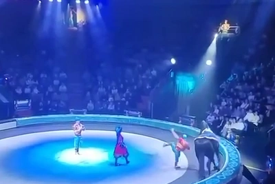 Акробат упал на манеже в Нижнем Новгороде: опубликовано видео