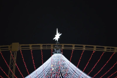 Tula man fined for extremist symbol in tree star comment