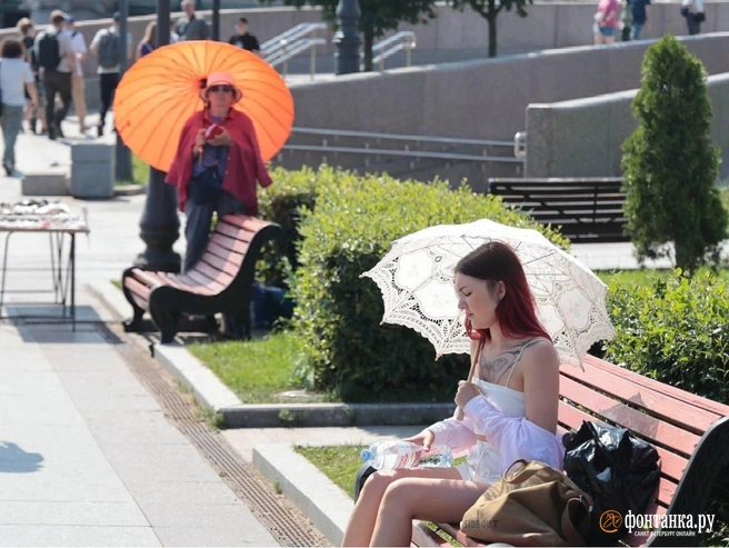 Жара крепчает. Посмотрите, как в Петербурге проходит этот летний день | Источник: Валентин Егоршин / «Фонтанка.ру»
