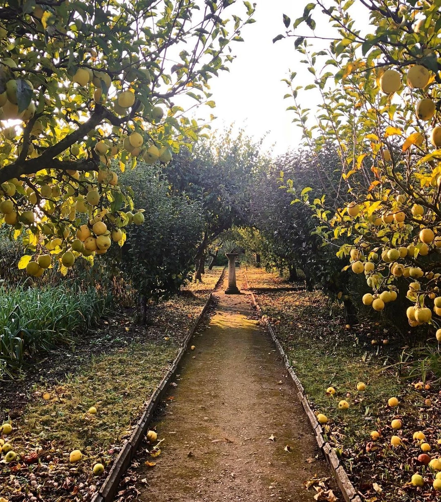 Обработка сада осенью от вредителей — а вы уже это сделали? | Источник: alexander.hoyle