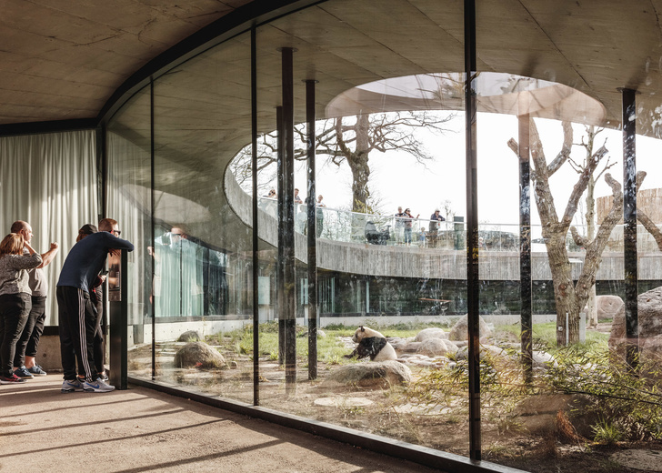 В зоопарке Копенгагена построили дом для панд (фото 4)