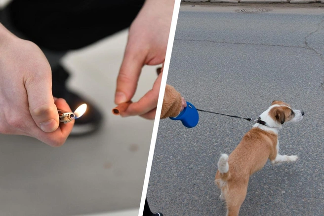 Женщина считает, что продажу петард нужно регулировать | Источник: Артем Устюжанин / E1.RU, Иван Митюшёв / 29.RU