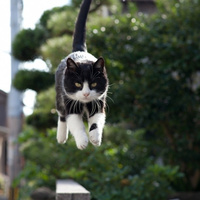 Аватарка Anna.Efremova