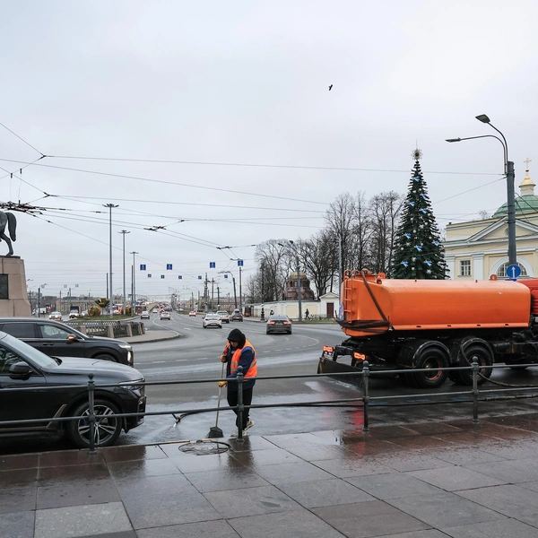 Источник: Комитет по благоустройству Петербурга