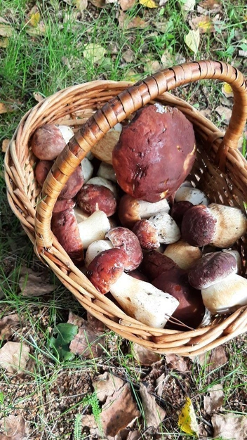 Источник: читатель NN.RU