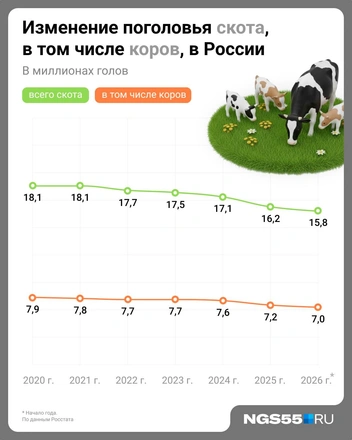 Количество животных неуклонно сокращается  | Источник: Евгения Бикунова / Городские медиа 