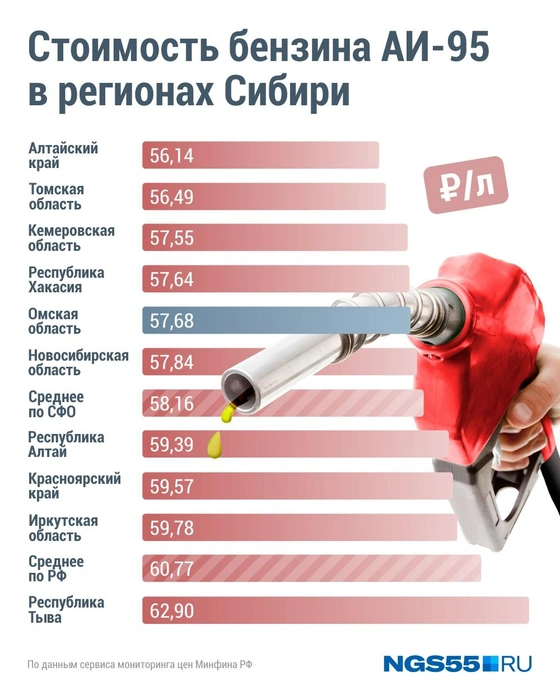 АИ-95 дороже всего обойдется в Тыве | Источник: Дмитрий Гладышев / Городские медиа 