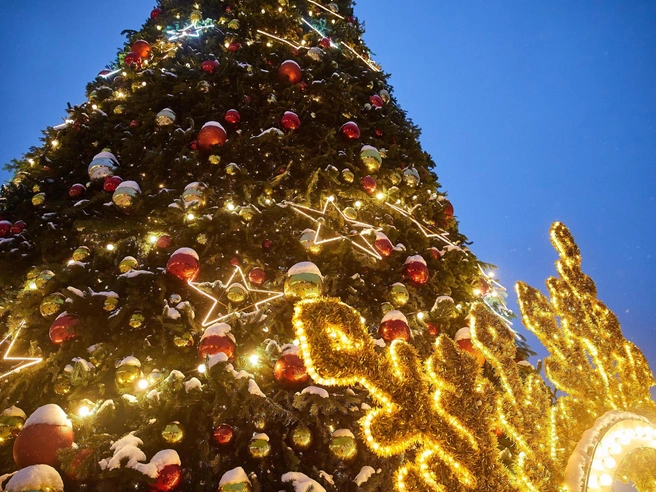 В этом году для украшения будет использована искусственная ель | nsk54.online