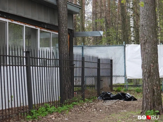 Надя прошла по крыше одноэтажного пристроя и встала на водоотвод, который вы видите на фото — он находится чуть правее места, где ее нашли | Источник: Кирилл Хафизов / 59.RU