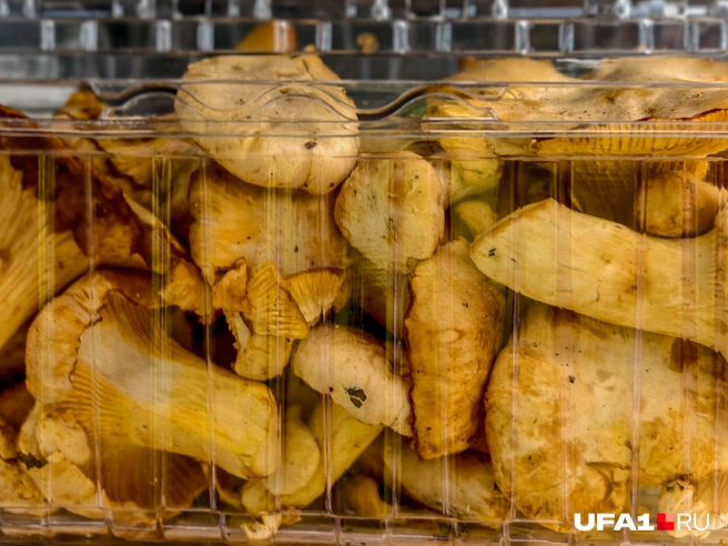 А эти просто очень плотно забились | Источник: Булат Салихов / UFA1.RU