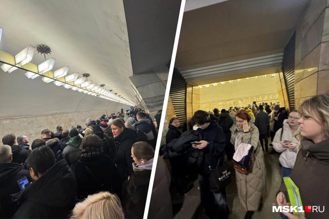 Пассажиры столпились на одной из самых загруженных веток метро в Москве | Источник: читатель MSK1.RU
