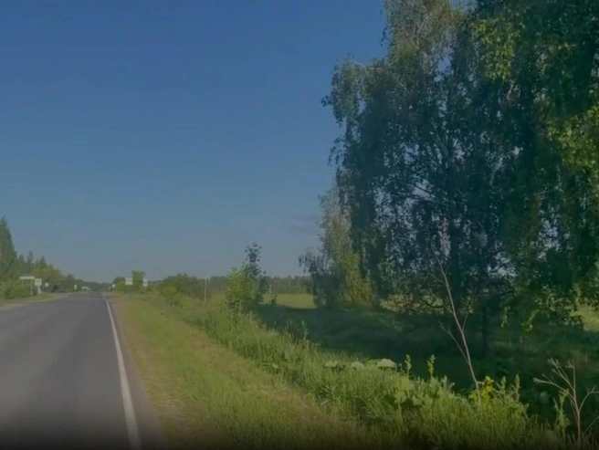 Участок дороги в Некрасовском районе, где произошла смертельная авария | Источник: Госавтоинспекция Ярославской области / Telegram