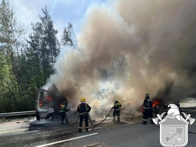 Седельный тягач с прицепом сгорел на Мурманском шоссе, образовав затор в 5 км | Источник: ГКУ «Леноблпожспас»
