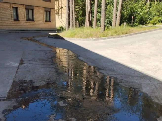 Из канализационного коллектора постоянно вытекает вода | Источник: читатель НГС