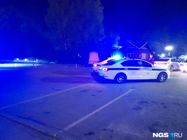 Источник: Екатерина Евстафьева / NGS.RU