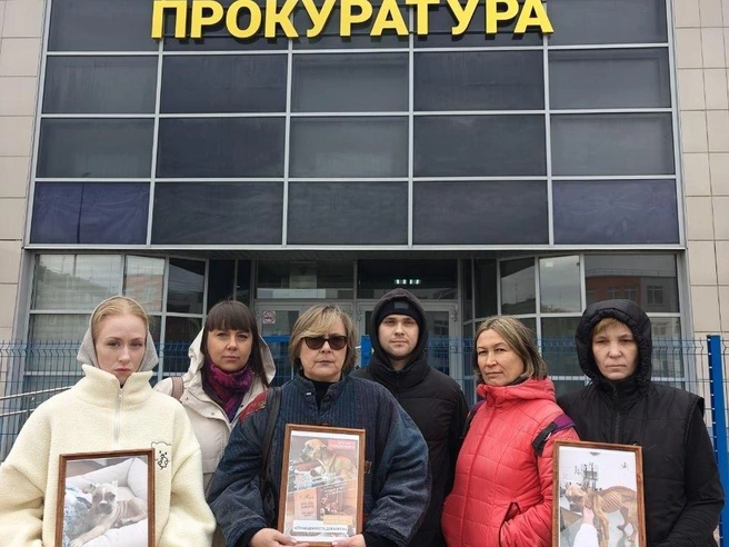 Источник: Зарина Адыева