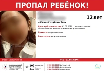 В последний раз их видели в районе улицы Колхозной в Кызыле | Источник: ПСО «СаяныСпас» / T.me