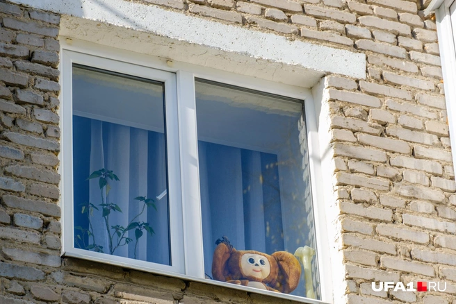 Улыбается осеннему солнцу | Источник: Булат Салихов / UFA1.RU