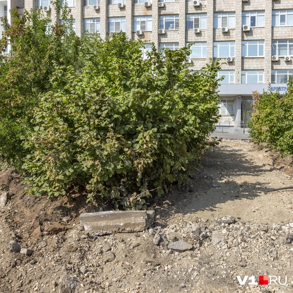 Источник: Константин Завриков / V1.RU