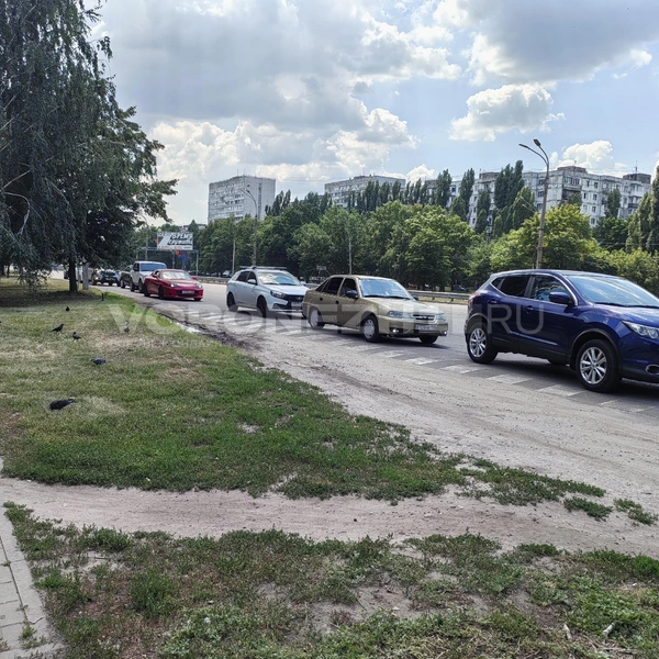 Ряд машин протянулся даже за пределы заправки | Источник: Андрей Пашинский / Voronezh1.ru