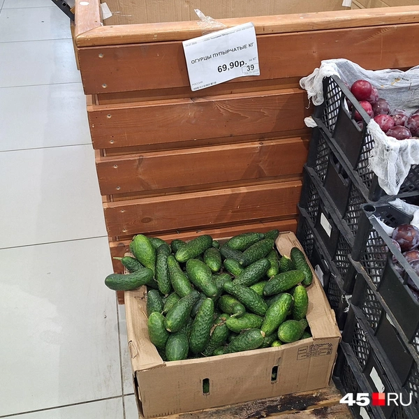 В «Метрополисе» в продаже один вид огурцов — пупырчатые по 69 рублей | Источник: Александр Лисихин / 45.RU