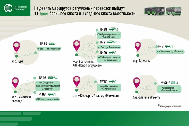 Источник: администрация Тюмени / T.me