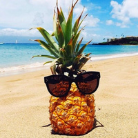 Аватарка pineapple